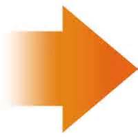 Orange_checkmark